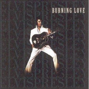 Album cover for Burning Love album cover