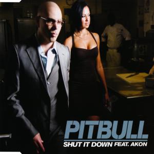 Album cover for Shut it Down album cover