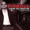 I Know You Want Me (Calle Ocho)