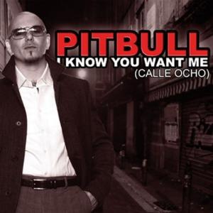 Album cover for I Know You Want Me (Calle Ocho) album cover