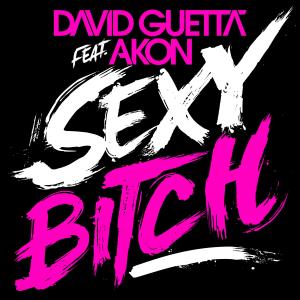Album cover for Sexy Bitch album cover