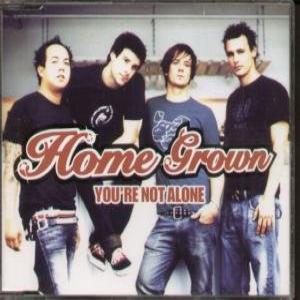 Album cover for Not Alone album cover