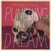 Punching in a Dream