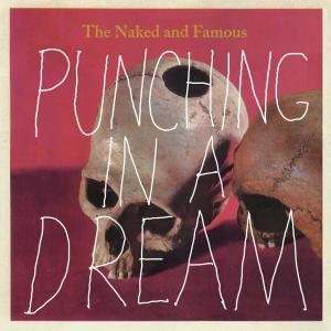 Album cover for Punching in a Dream album cover