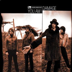 Album cover for Damage album cover