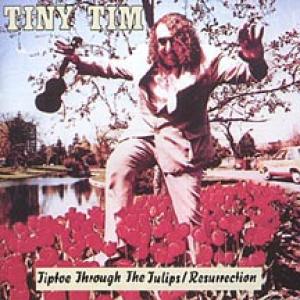 Album cover for Tiptoe through the Tulips album cover
