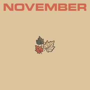 Album cover for November album cover