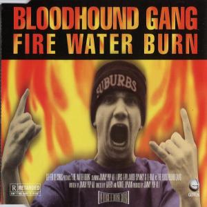 Album cover for Fire Water Burn album cover