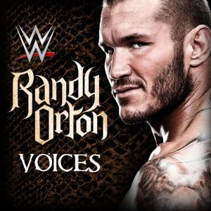 Album cover for Voices album cover