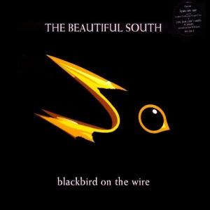 Album cover for Blackbird on the Wire album cover