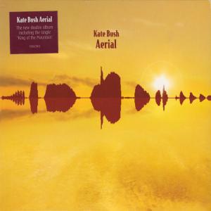 Album cover for Aerial album cover
