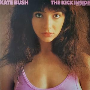 Album cover for The Kick Inside album cover