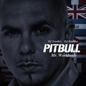 Album cover for Mr. Worldwide album cover