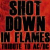 Album cover for Shot Down in Flames album cover