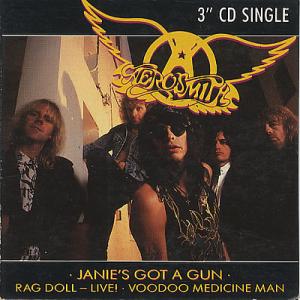 Album cover for Janie's Got a Gun album cover