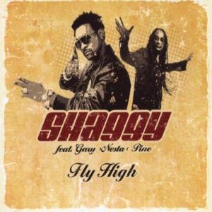 Album cover for Fly High album cover