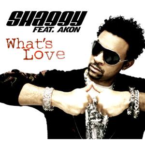 Album cover for What's Love album cover