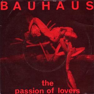 Album cover for The Passion of Lovers album cover