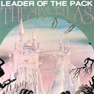 Album cover for Leader of the Pack album cover