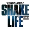 Album cover for Shake Life album cover