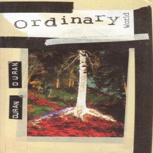 Album cover for Ordinary World album cover