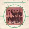 Wild Boys