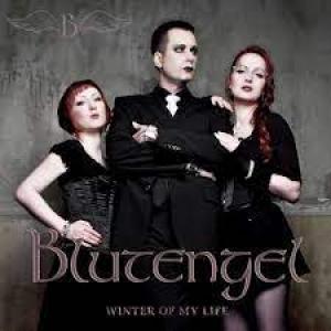 Album cover for Winter of My Life album cover