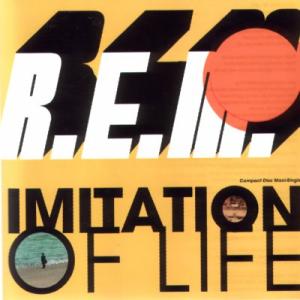 Album cover for Imitation of Life album cover