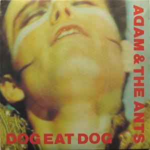 Album cover for Dog Eat Dog album cover