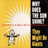 Why Does the Sun Shine?