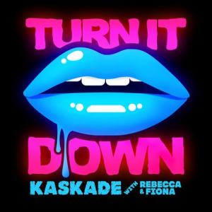 Album cover for Turn it Down album cover