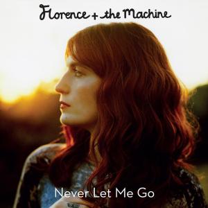 Album cover for Never Let Me Go album cover