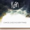 Chaos Lives in Everything