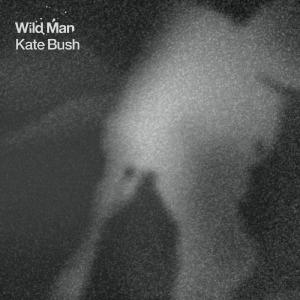 Album cover for Wild Man album cover