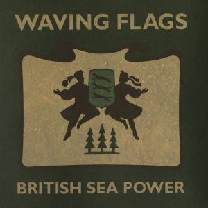 Album cover for Waving Flags album cover
