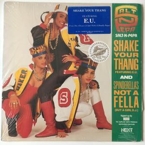Album cover for Shake Your Thang album cover