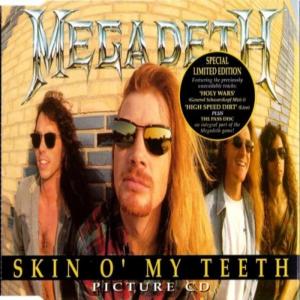 Album cover for Skin O My Teeth album cover