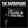 Album cover for Hey Little Bird album cover