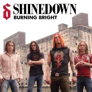 Album cover for Burning Bright album cover