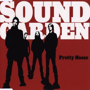 Album cover for Pretty Noose album cover