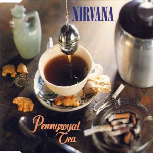 Album cover for Pennyroyal Tea album cover