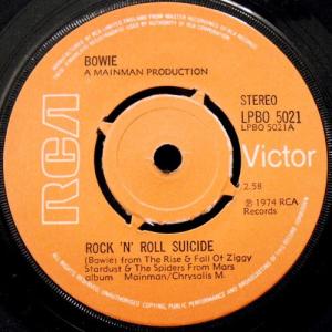 Album cover for Rock 'N' Roll Suicide album cover