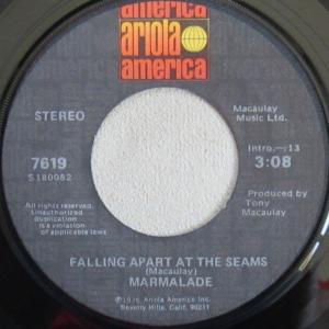 Album cover for Falling Apart at The Seams album cover