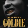 Album cover for Goldie album cover