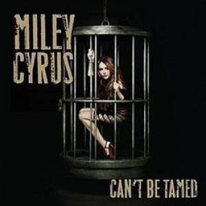 Album cover for Can't Be Tamed album cover