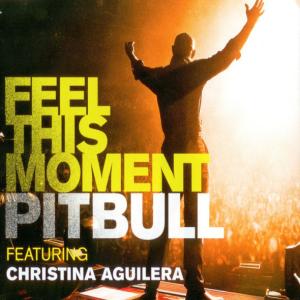 Album cover for Feel This Moment album cover