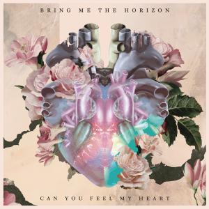 Album cover for Can You Feel My Heart? album cover