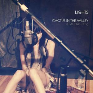 Album cover for Cactus in the Valley album cover