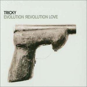 Album cover for Evolution Revolution Love album cover