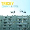 Album cover for Council Estate album cover